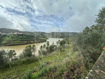 Terreno para Venda em Aldeia do Mato e Souto