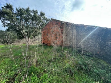 Terreno para Venda em Aldeia do Mato e Souto