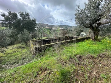 Terreno para Venda em Aldeia do Mato e Souto
