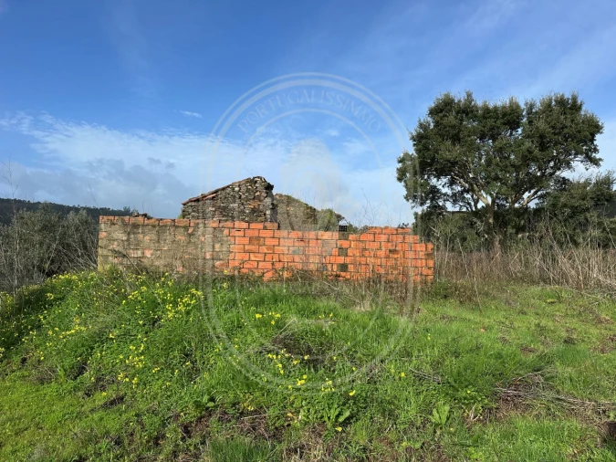 Terreno para Venda em Aldeia do Mato e Souto Foto 8