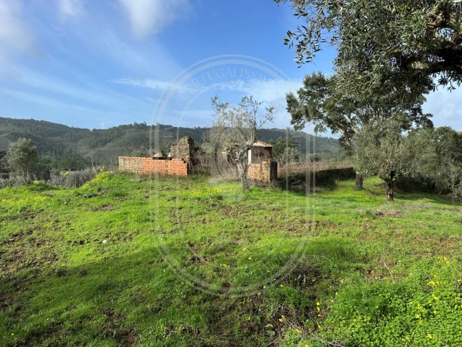Terreno para Venda em Aldeia do Mato e Souto Foto 9