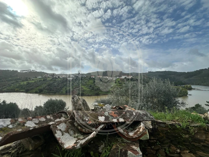 Terreno para Venda em Aldeia do Mato e Souto Foto 40