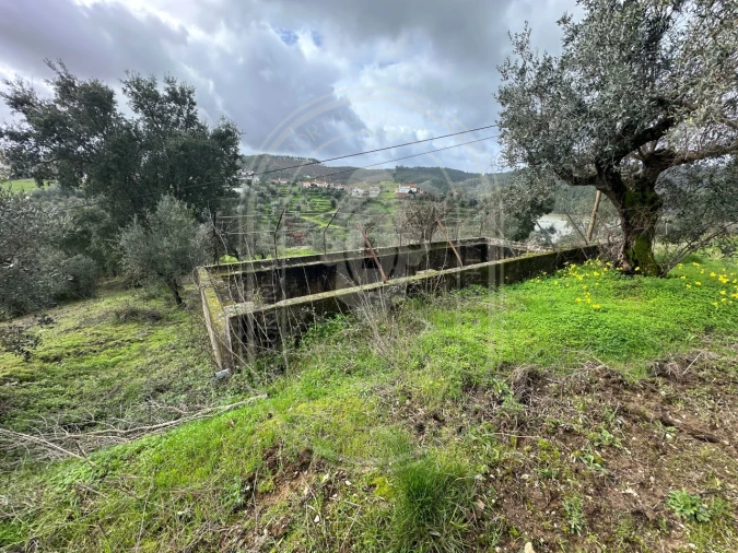 Terreno para Venda em Aldeia do Mato e Souto Foto 42