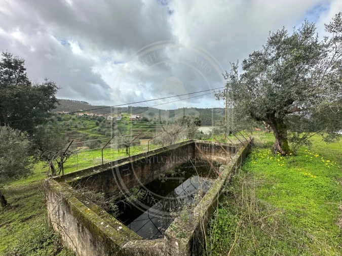 Terreno para Venda em Aldeia do Mato e Souto Foto 43