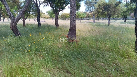 Terreno Agricola ou Rústico para Venda em Santo Antonio das Areias