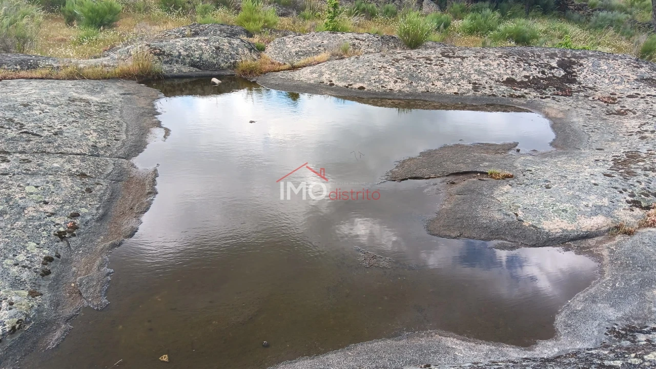 Terreno Agricola ou Rústico para Venda em Santo Antonio das Areias Foto 5