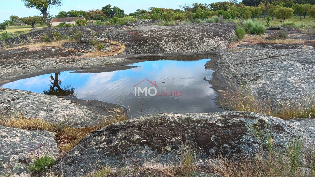 Terreno Agricola ou Rústico para Venda em Santo Antonio das Areias Foto 4