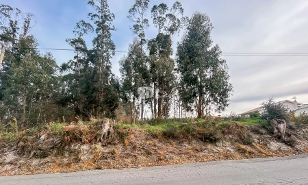 Terreno para Venda em Louro
