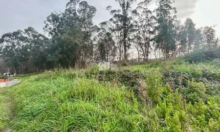 Terreno para Venda em Louro