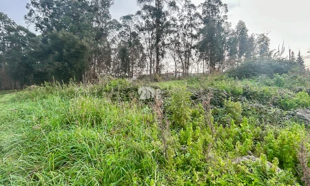 Terreno para Venda em Louro