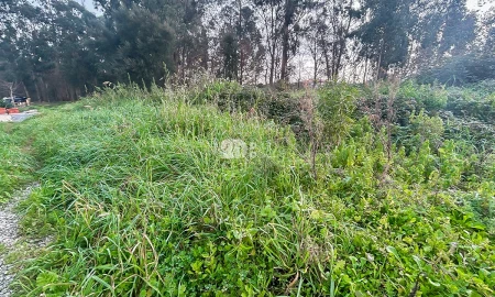 Terreno para Venda em Louro