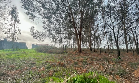 Terreno para Venda em Louro