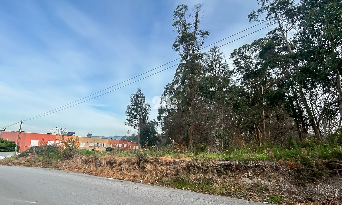 Terreno para Venda em Louro Foto 10