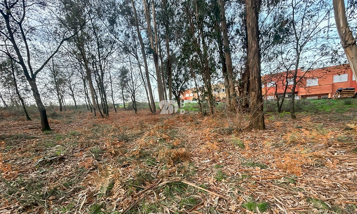 Terreno para Venda em Louro Foto 7