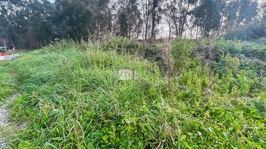 Terreno para Venda em Louro