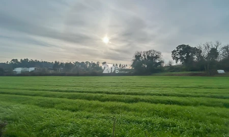 Terreno para Venda em Lemenhe, Mouquim e Jesufrei