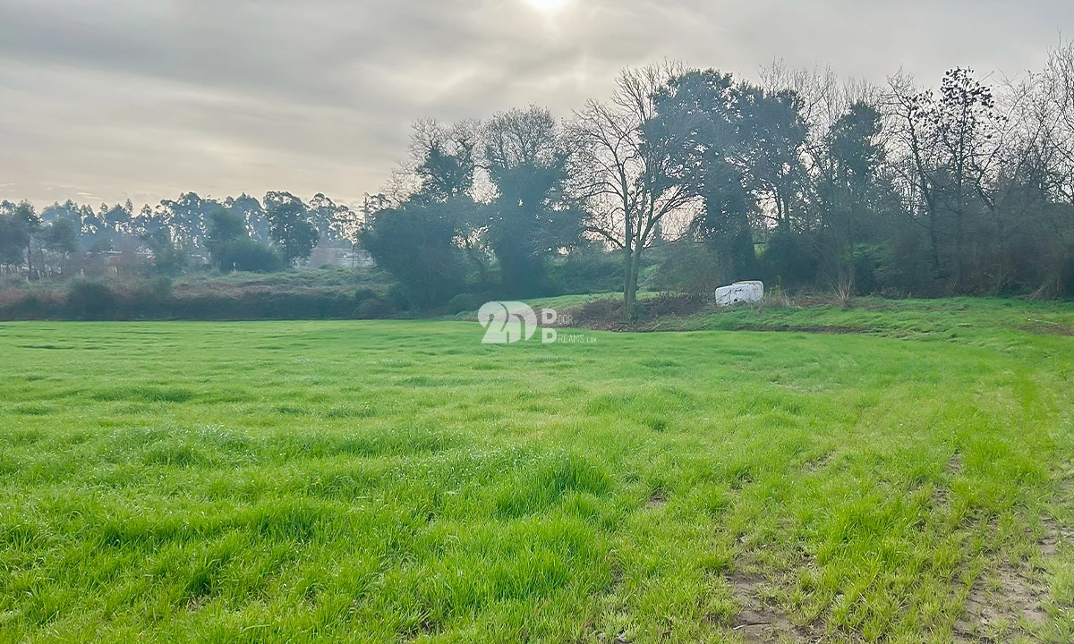 Terreno para Venda em Lemenhe, Mouquim e Jesufrei Foto 2