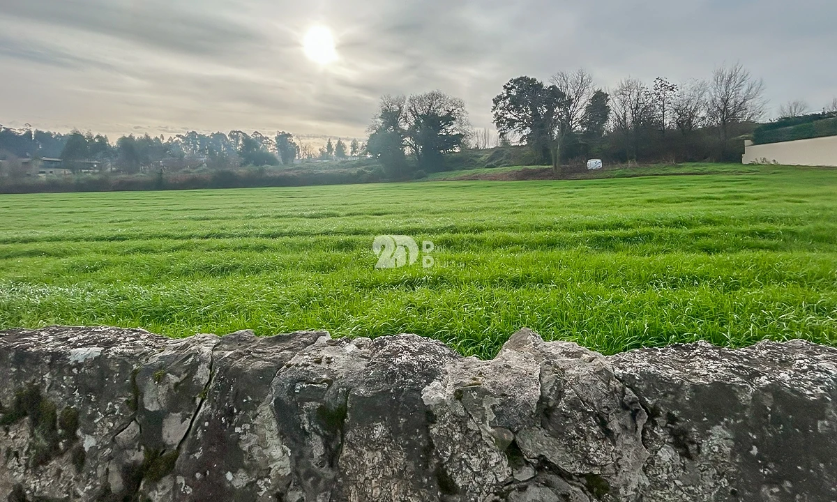 Terreno para Venda em Lemenhe, Mouquim e Jesufrei Foto 12