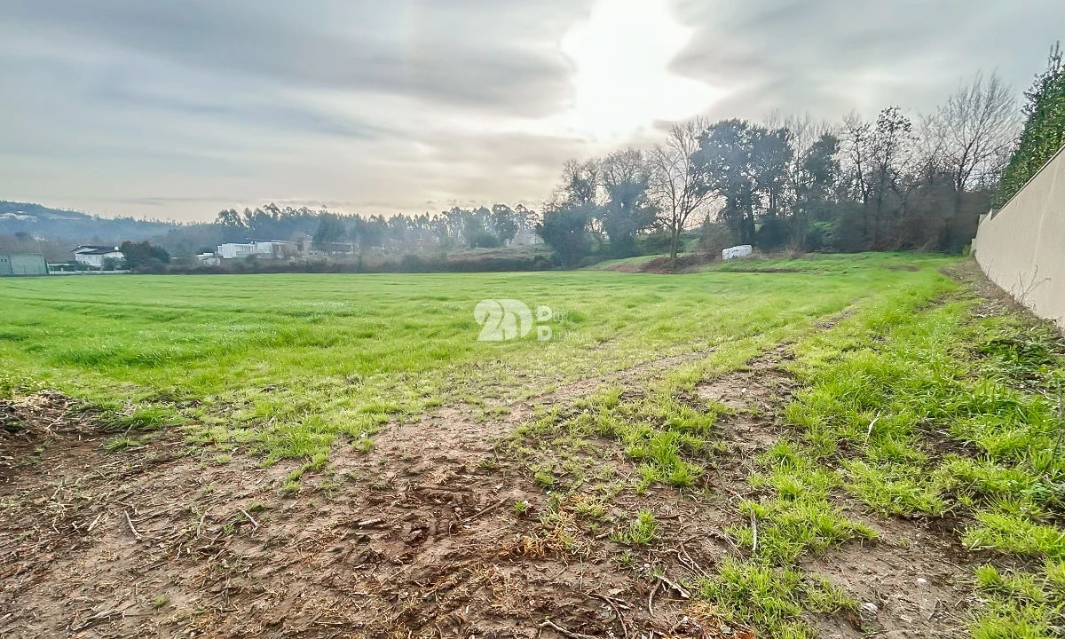 Terreno para Venda em Lemenhe, Mouquim e Jesufrei Foto 3
