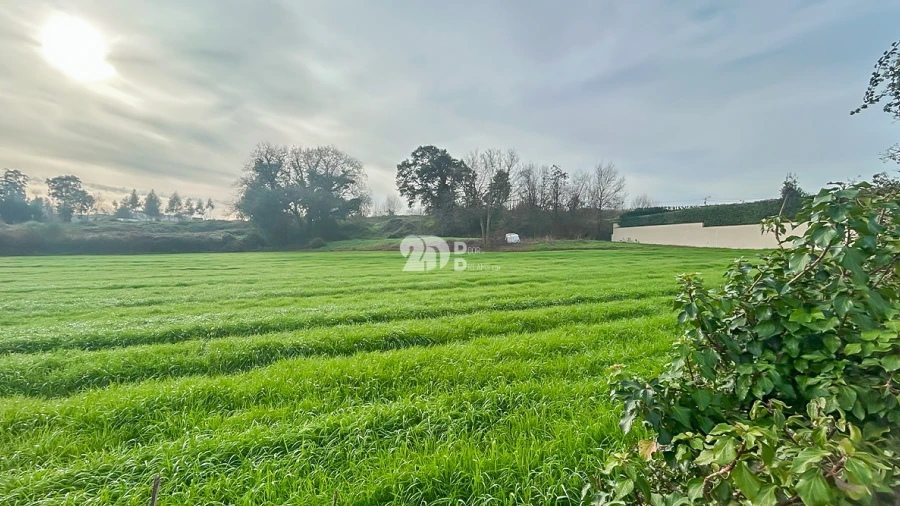 Terreno para Venda em Lemenhe, Mouquim e Jesufrei