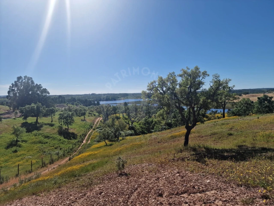 Terreno Agricola ou Rústico para Venda em São Domingos e Vale de Água Foto 9