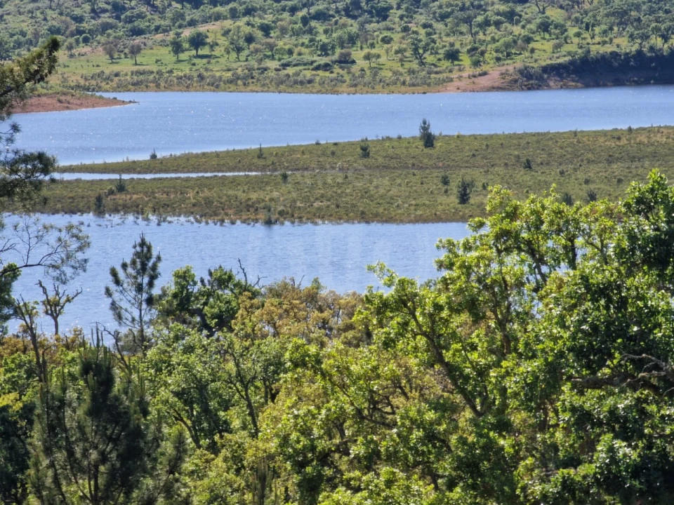 Terreno Agricola ou Rústico para Venda em São Domingos e Vale de Água Foto 12