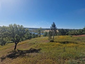 Terreno Agricola ou Rústico para Venda em São Domingos e Vale de Água