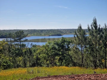 Terreno Agricola ou Rústico para Venda em São Domingos e Vale de Água