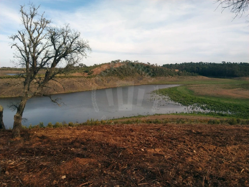 Terreno Agricola ou Rústico para Venda em Cercal Foto 2