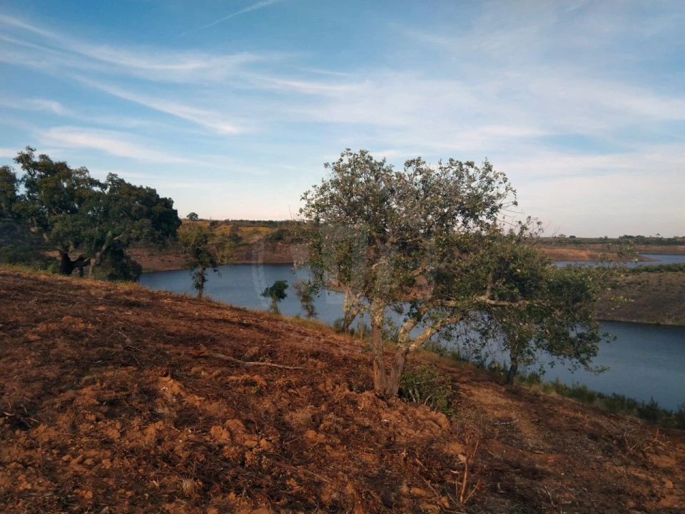 Terreno Agricola ou Rústico para Venda em Cercal Foto 9
