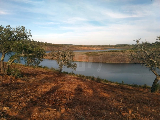 Terreno Agricola ou Rústico para Venda em Cercal Foto 8