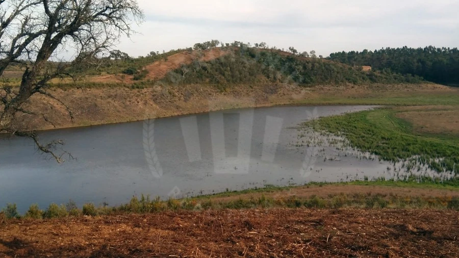 Terreno Agricola ou Rústico para Venda em Cercal