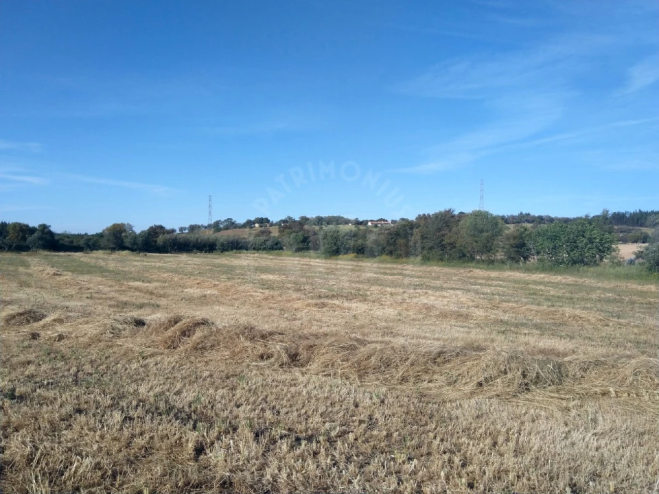 Terreno Misto para Venda em São Domingos e Vale de Água Foto 12