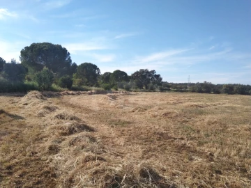 Terreno Misto para Venda em São Domingos e Vale de Água