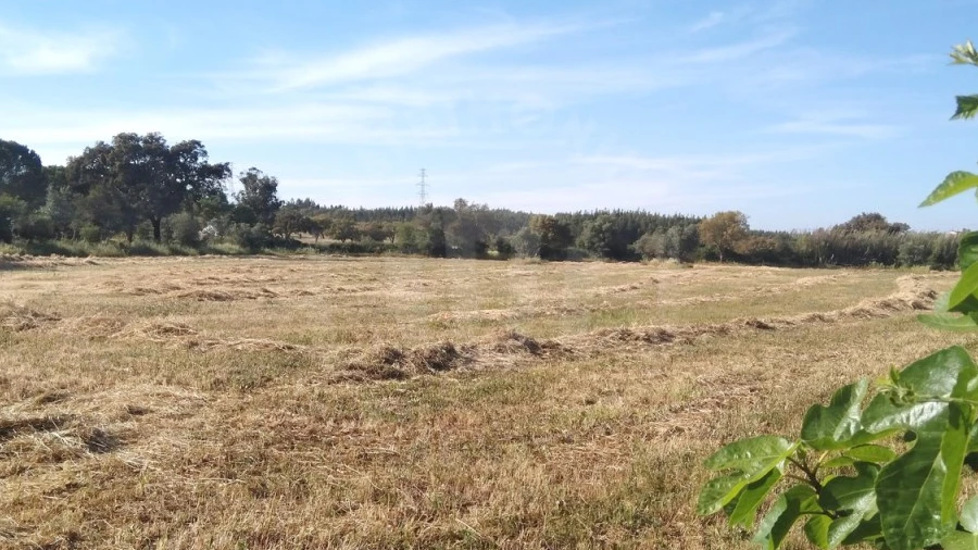 Terreno Misto para Venda em São Domingos e Vale de Água