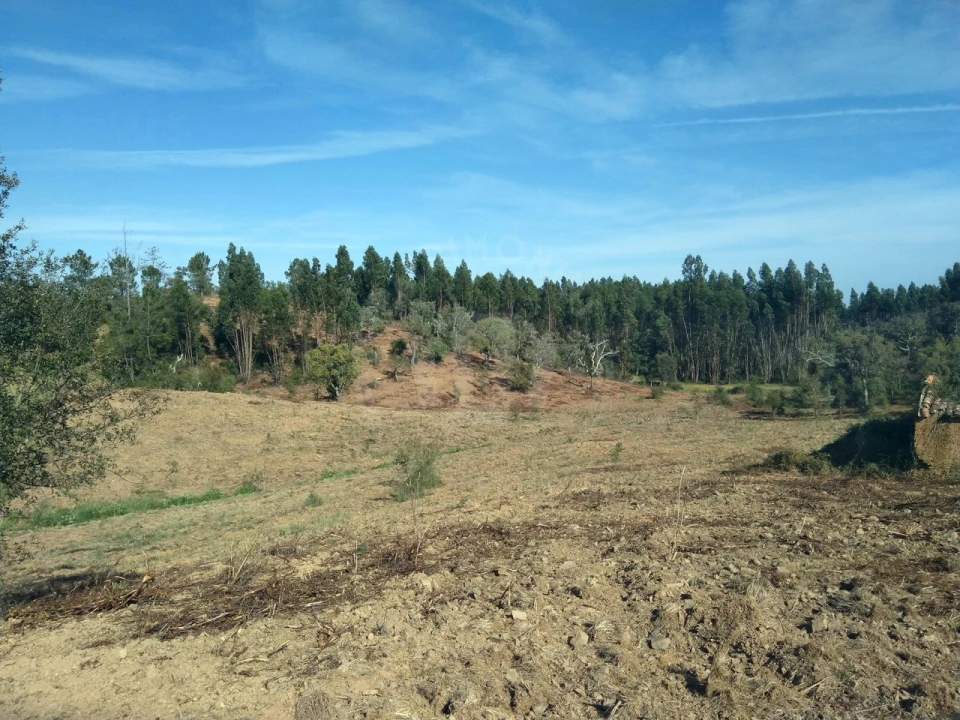 Terreno Agricola ou Rústico para Venda em Santiago do Cacém, Santa Cruz e São Bartolomeu da Serra Foto 8