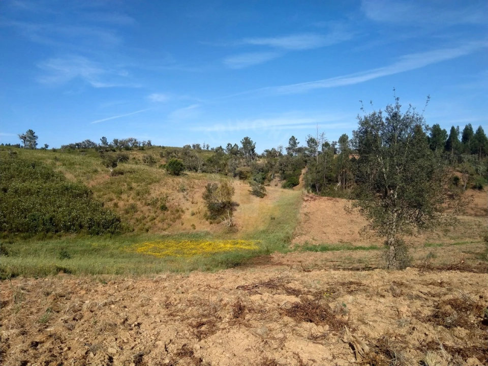 Terreno Agricola ou Rústico para Venda em Santiago do Cacém, Santa Cruz e São Bartolomeu da Serra Foto 9