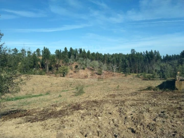 Terreno Agricola ou Rústico para Venda em Santiago do Cacém, Santa Cruz e São Bartolomeu da Serra