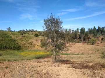 Terreno Agricola ou Rústico para Venda em Santiago do Cacém, Santa Cruz e São Bartolomeu da Serra