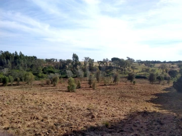 Terreno Agricola ou Rústico para Venda em Santiago do Cacém, Santa Cruz e São Bartolomeu da Serra