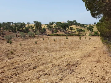 Terreno Agricola ou Rústico para Venda em Santiago do Cacém, Santa Cruz e São Bartolomeu da Serra