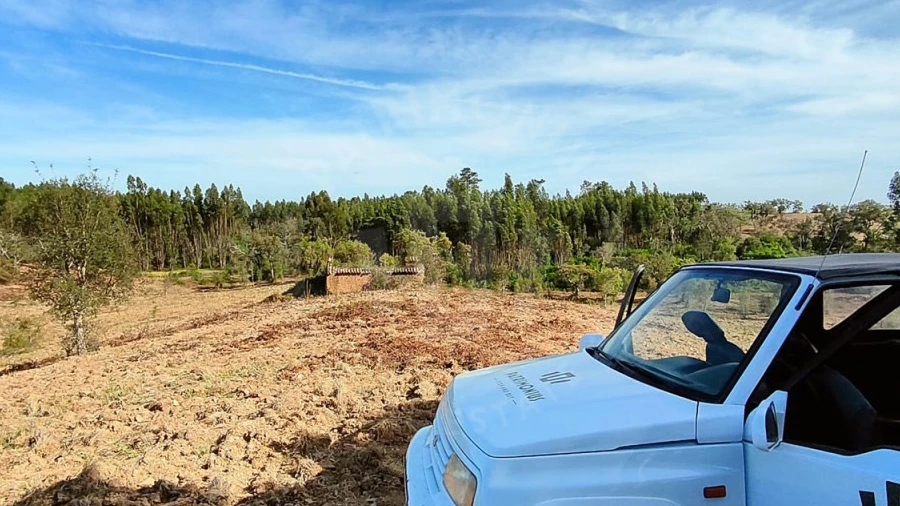 Terreno Agricola ou Rústico para Venda em Santiago do Cacém, Santa Cruz e São Bartolomeu da Serra