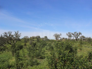 Terreno para Venda em Santiago do Cacém, Santa Cruz e São Bartolomeu da Serra