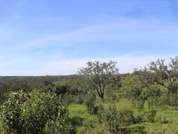 Terreno para Venda em Santiago do Cacém, Santa Cruz e São Bartolomeu da Serra