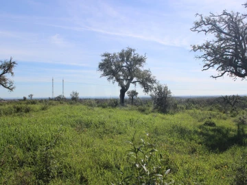 Terreno para Venda em Santiago do Cacém, Santa Cruz e São Bartolomeu da Serra