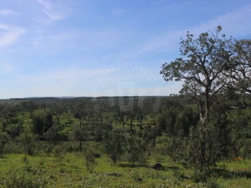 Terreno para Venda em Santiago do Cacém, Santa Cruz e São Bartolomeu da Serra