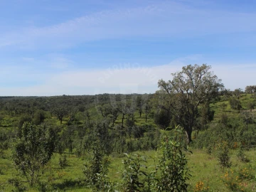 Terreno para Venda em Santiago do Cacém, Santa Cruz e São Bartolomeu da Serra