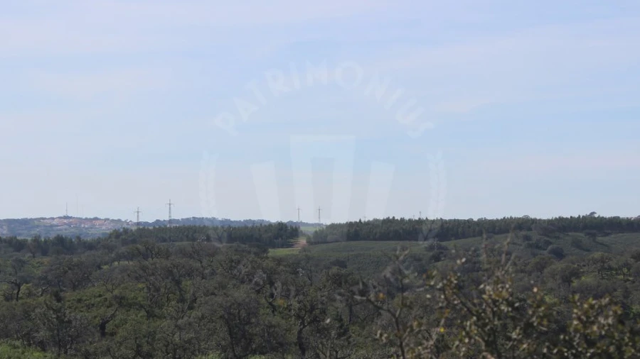 Terreno para Venda em Santiago do Cacém, Santa Cruz e São Bartolomeu da Serra