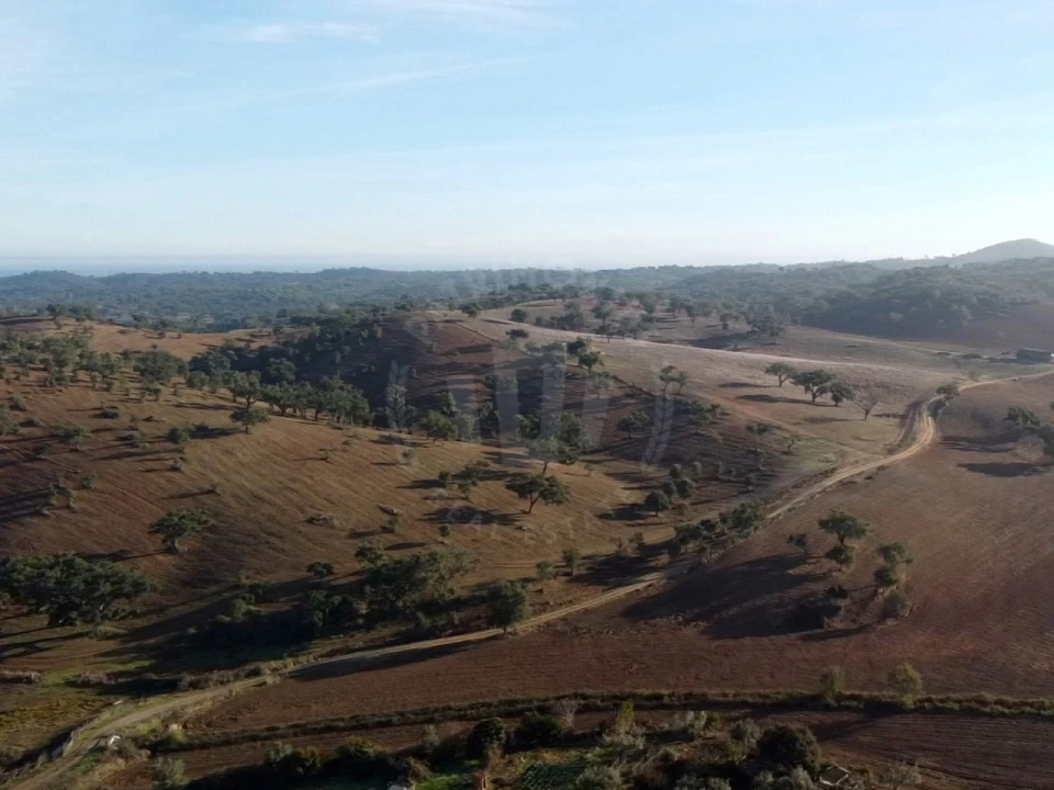 Moradia T2 para Venda em São Martinho das Amoreiras Foto 19