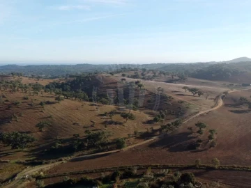 Moradia T2 para Venda em São Martinho das Amoreiras